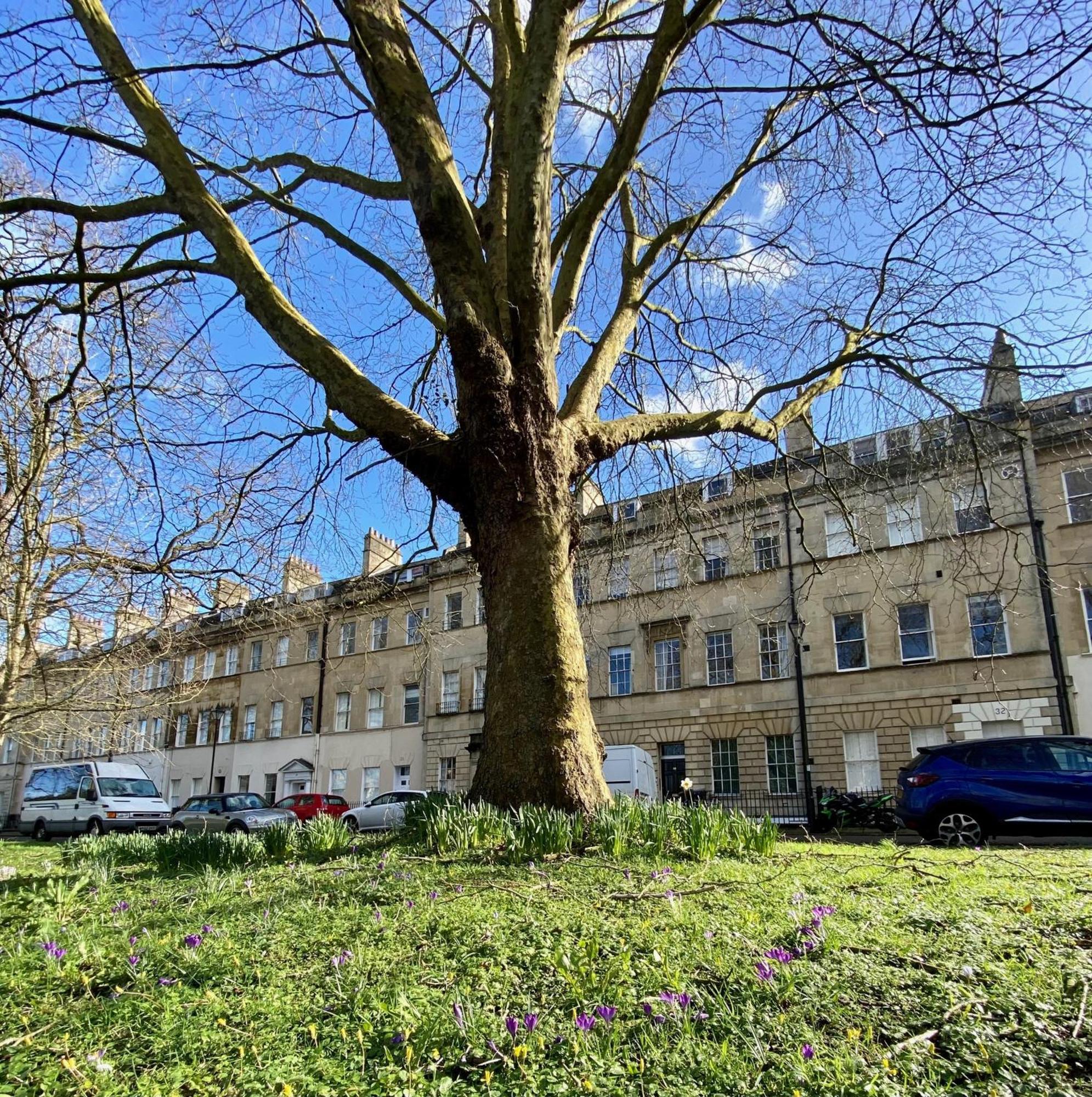 Grosvenor Apartments In Bath - Great For Families, Groups, Couples, 80 Sq M, Parking Zewnętrze zdjęcie